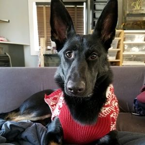 Meet your Posher, Stephanie